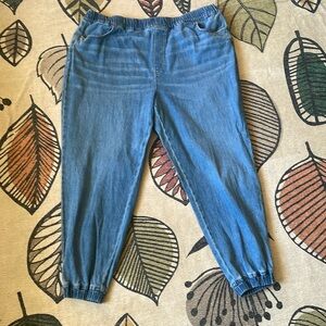 NEVER WORN LOFT OUTLET JOGGER JEANS